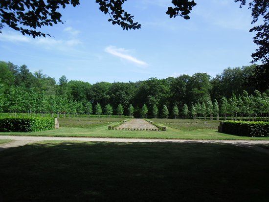 het Nationale Park De Hoge Veluwe