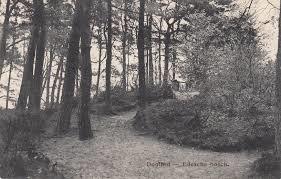 Ede Forest