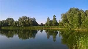 het Hoge Venne