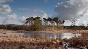 de Overasseltse en Hatertse Vennen